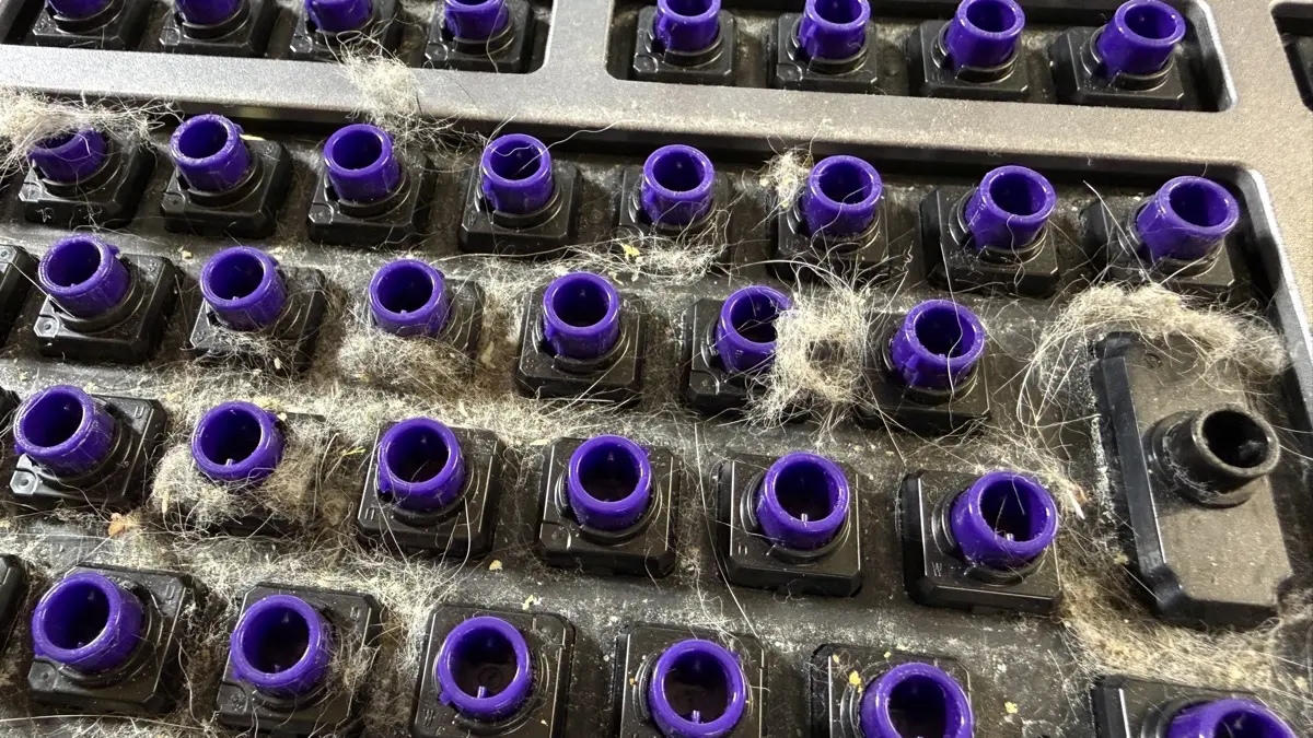 REALFORCE R3 キーボード Mac 配列 / R3HE11 のキートップを交換する & 掃除 (27)