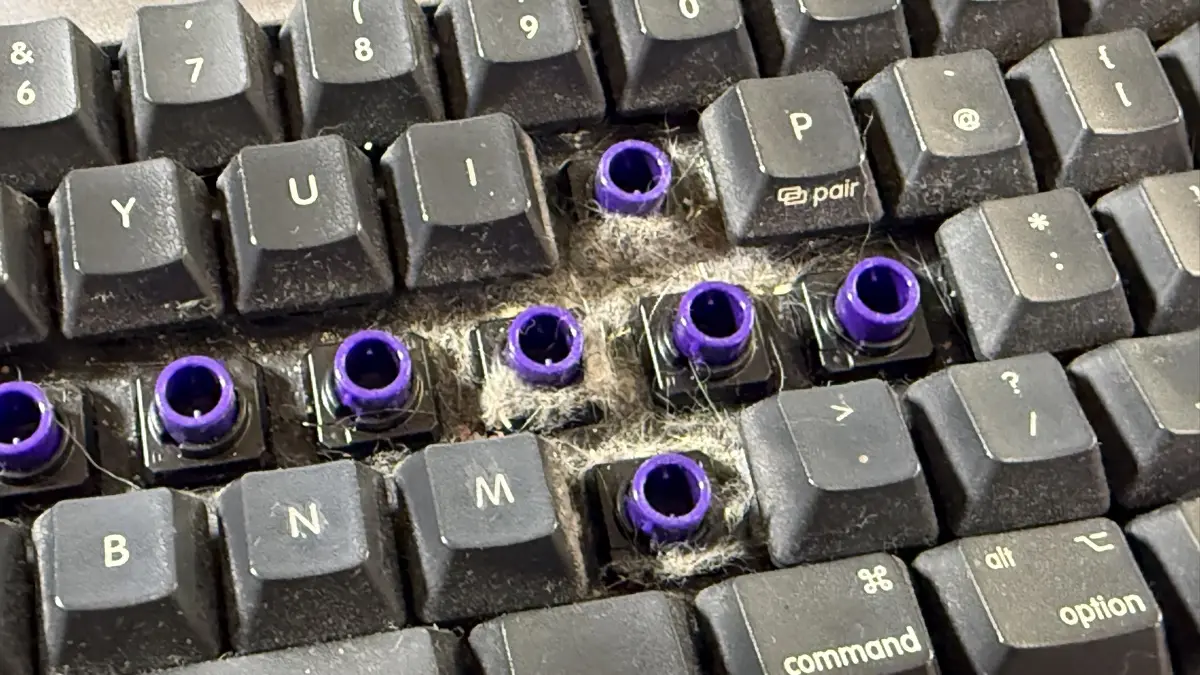 REALFORCE R3 キーボード Mac 配列 / R3HE11 のキートップを交換する & 掃除 (13)